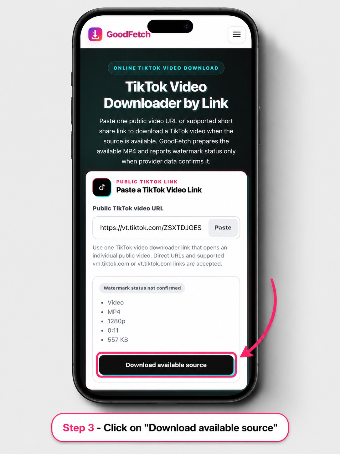 GoodFetch TikTok result on iPhone showing an MP4 preview and download button